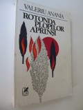 Rotonda plopilor aprinsi - Valeria Anania