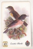 bnk card Cartele telefonice - Marea Britanie UT Universal Telecommunications - fauna - pasari