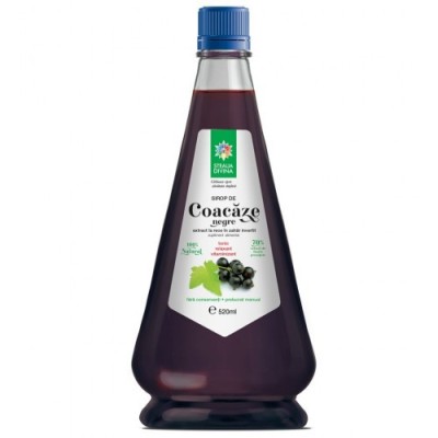 Sirop coacaz negru 520ml santo raphael foto