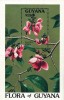 GUYANA 1990 FLORI ORHIDEE, Nestampilat