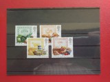 ANGLIA - MNH