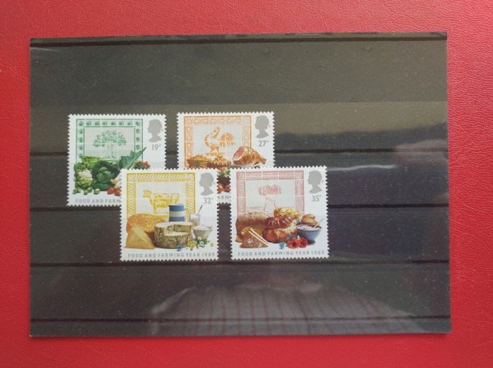 ANGLIA - MNH