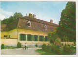 bnk cp Bodoc - Tabara de pionieri Olteni - necirculata - marca fixa