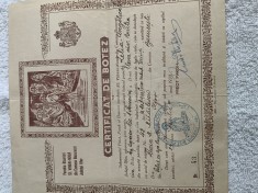 certificat de botez foto
