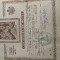 certificat de botez