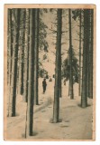 CPIB 18064 CARTE POSTALA - MUNTII BUCEGI. DIHAM. IARNA, RPR, LIBRARIA NOASTRA