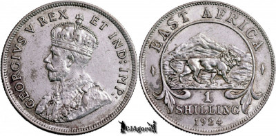 1924, 1 Shilling - George al V-lea - Africa de Est Britanică | KM 21 foto