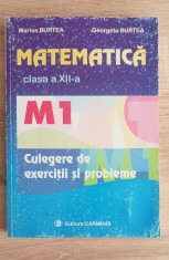 Matematică clasa a XII-a M1. Culegere de exerciții și probleme - Marius Burtea
