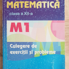 Matematică clasa a XII-a M1. Culegere de exerciții și probleme - Marius Burtea