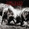 Gotthard 3 (cd)