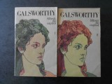 JOHN GALSWORTHY - SFARSIT DE CAPITOL 2 volume