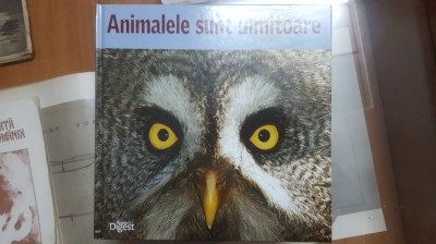 Animalele sunt uimitoare, Vița la cald... și la rece 007 foto