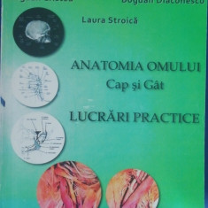 myh 32f - G Lupu - Anatomia omului - Cap si gat - lucrari practice - ed 2010
