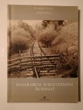 Basarabeni și bucovineni &icirc;n Banat - Smaranda Vultur, Adrian Onică, Marineasa 2010, Istorie Banat