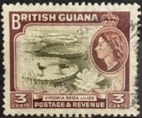 Guyana Britanică &ndash; Victoria Regia Lilies (Nufărul Uriaș Amazonian), 3 cenți, Regina Elisabeta a II-a (cca. 1954&ndash;1963)