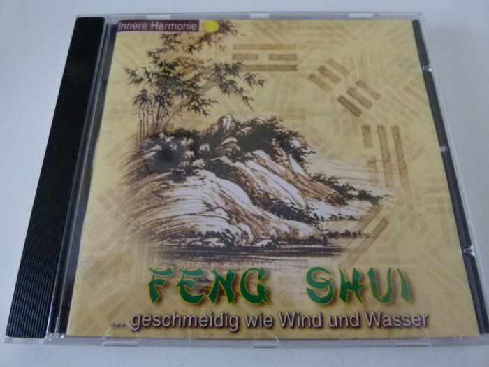 Feng Shui -1079