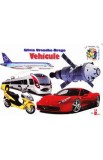 Vehicule - Silvia Ursache-Brega