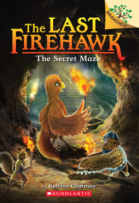 The Secret Maze: A Branches Book (the Last Firehawk #10), Volume 10 foto