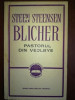 Pastorul din Vejlbye- Steen Steensen Blicher