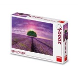 Cumpara ieftin Puzzle Camp cu lavanda, 2000 piese - DINO TOYS