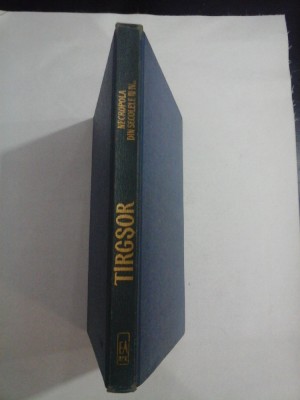TIRGSOR NECROPOLA DIN SECOLELE III-IVe.n. - Gheorghe DIACONU foto