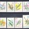 M1 TX5 4 - 1966 - Plante subacvatice