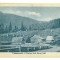 1005 - PRISLOP, Borsa, Maramures, Romania - old postcard, CENSOR - used - 1915