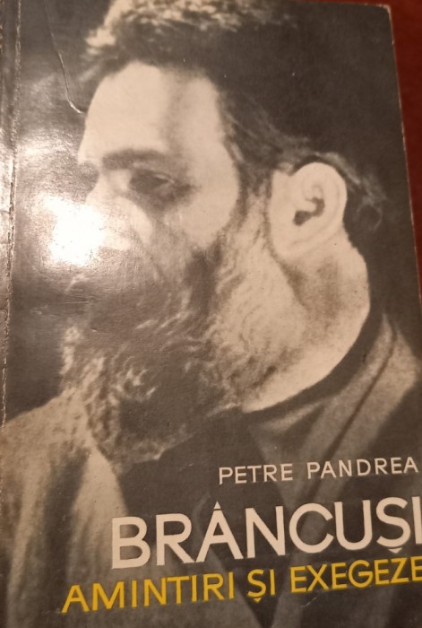 BRANCUSI AMINTIRI SI EXEGEZE PETRE PANDREA