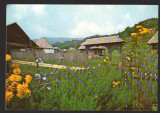 CPIB 22884 - CARTE POSTALA - BUJORENI, VALCEA, COLECTII DE ETNOGRAFIE ARTA POP