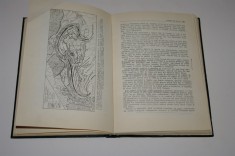 Europa si Asia - geografie fizica - Petre Cotet