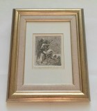 Inger pazitor &ndash; aquaforte si aquatinta, semnata Radu Mihalcea