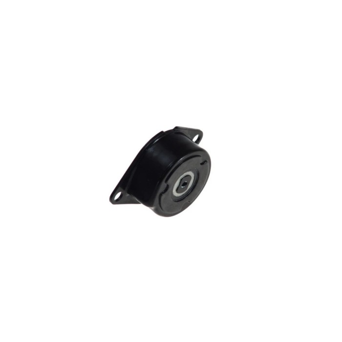 Intinzator curea VW CADDY II combi 9K9B DAYCO APV2240
