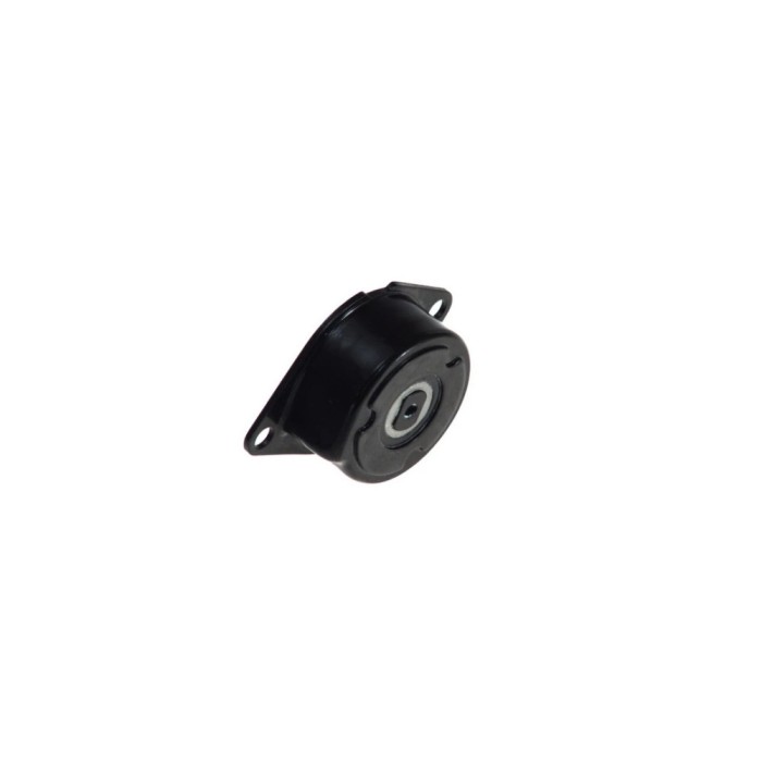 Intinzator curea VW GOLF IV Cabriolet 1E7 DAYCO APV2240