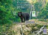 !!! KYRGYZSTAN - URSUL NEGRU TAIWANEZ 2016 , COLITA NECIRCULATA / FAUNA
