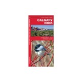 Calgary Birds: An Introduction to Familiar Species