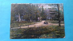 Piatra Neamt Parcul Cozia Statuia N Albu foto