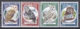 Djibouti 2020 - Bufnițe, MNH