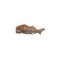 Figurina Dunkleosteus Delu-e cu mandibula mobila Collecta