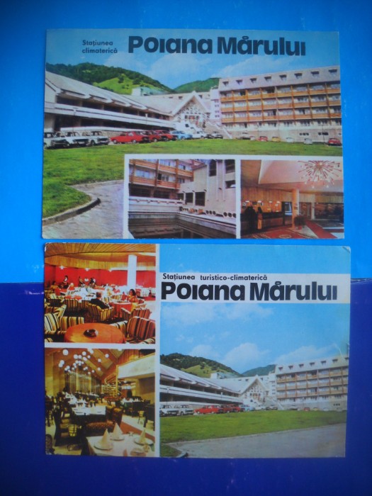 HOPCT LOT 2434 POIANA MARULUI -JUD CARAS SEVERIN-2 CARTI POSTALE-NECIRCULATE