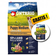 ONTARIO Puppy Medium Lamb &amp; Rice 6,5kg + 0,75kg