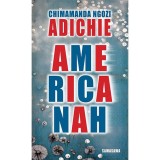 Americanah - Chimamanda Ngozi Adichie