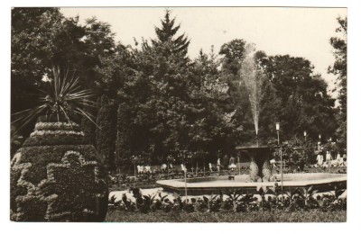 CPIB 21625 - CARTE POSTALA - BUZIAS, VEDERE DIN PARC foto