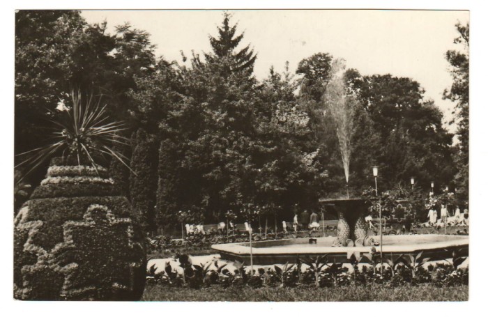 CPIB 21625 - CARTE POSTALA - BUZIAS, VEDERE DIN PARC