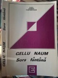 Gelu Naum-Sora fantana