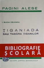 TIGANIADA SAU TABARA TIGANILOR-ION BUDAI DELEANU-313013