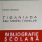 TIGANIADA SAU TABARA TIGANILOR-ION BUDAI DELEANU-237763