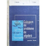 Culegere de probleme de algebra - 1971 - I. Stamate ($M94)