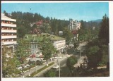 Carte Postala veche - Sinaia , necirculata