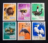 Coreea de Nord (1979) - Serie completă "Grădina Zoologică Centrală - Păsări Exotice" (Obliterat / Ștampilat) FN1