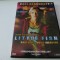 Little fish, dvd